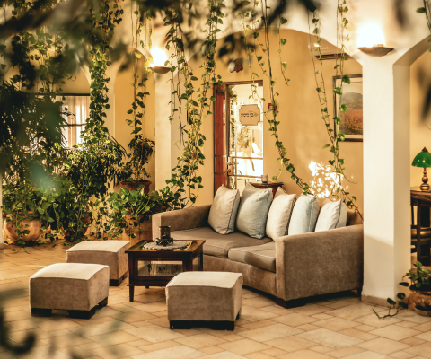 Members Club